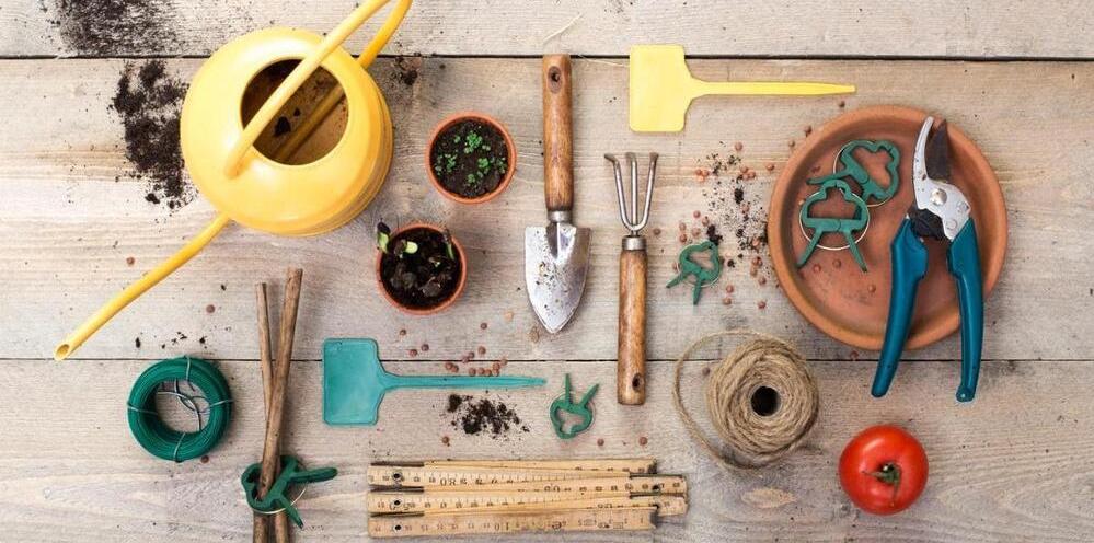 Accesorios de cultivo