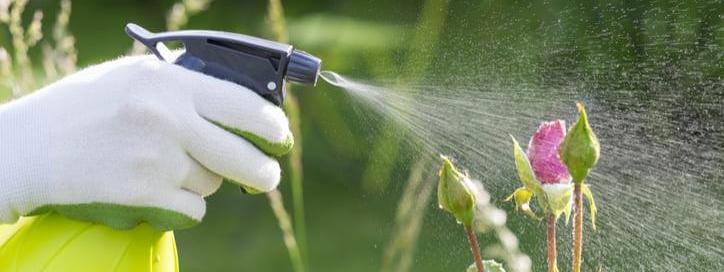Las pistolas insecticidas y fungicidas listas para usar
