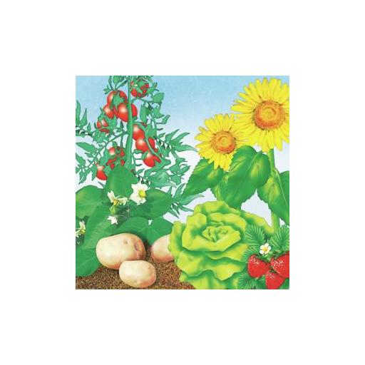 Abono ecológico para huerto y frutales Compo 1 Kg [2]