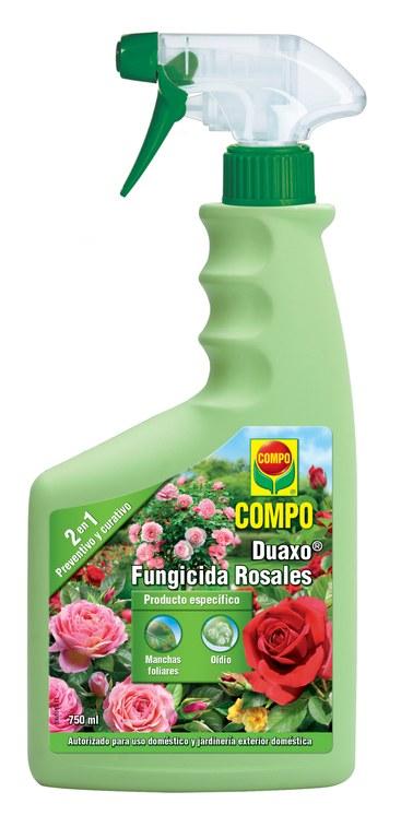 COMPO Duaxo Fungicida Rosales