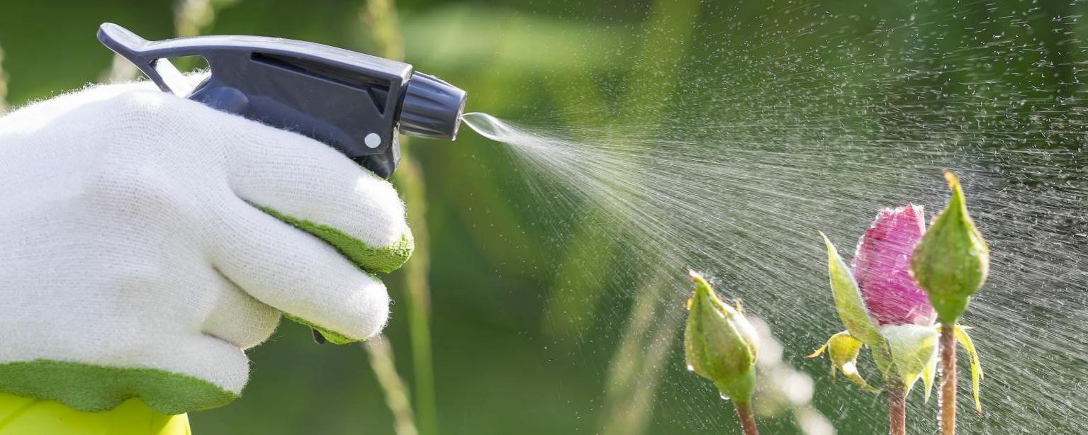 Insecticidas para plantas