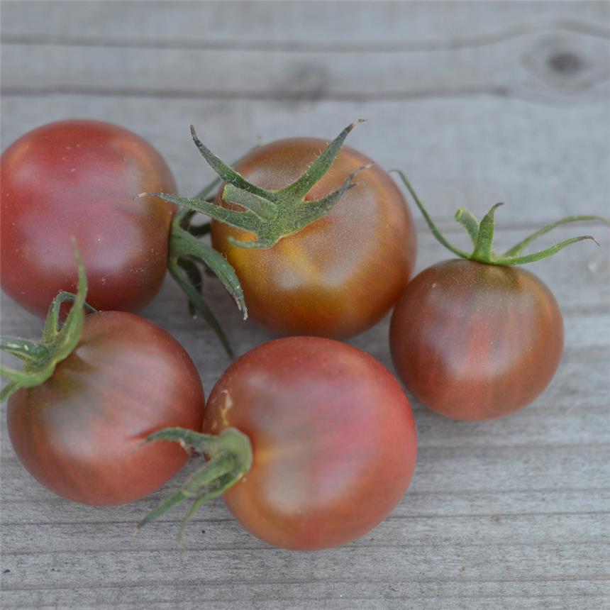 Semilla de tomate ecológico Brown Berry