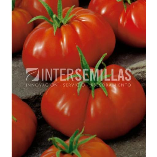 Semillas de tomate huerto Muchamiel Ecológico