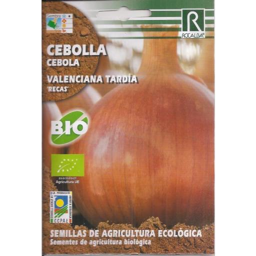 Semillas ecológicas de Cebolla Valenciana