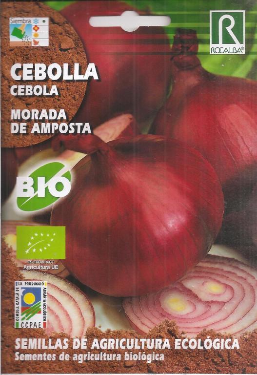 Semilla ecológica de Cebolla Morada de Amposata 2g