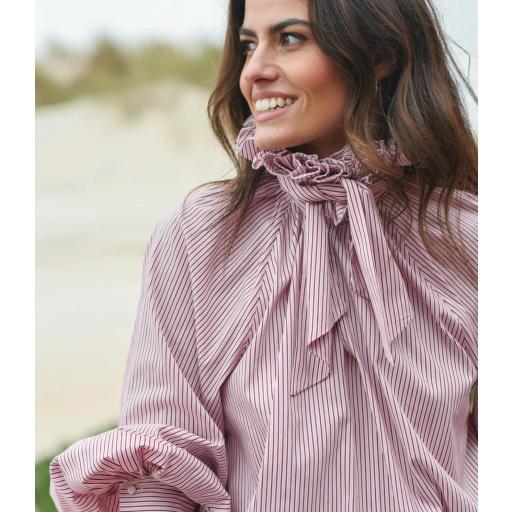 BLUSA DAROSA  [1]
