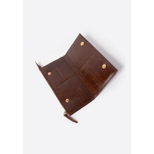 CARTERA CASTAÑA  [3]