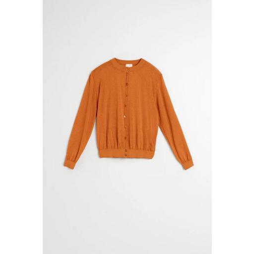 CHAQUETA PUNTAO TRANSPARENTE  [2]