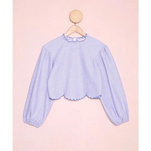 PALADS WAVES TOP  [1]