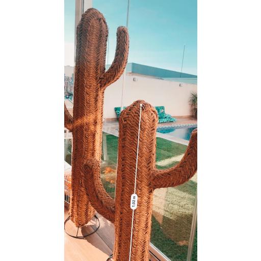 Cactus de esparto [1]