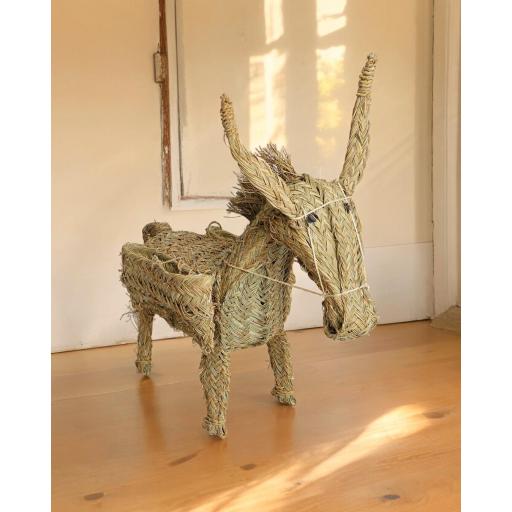 burro macetero esparto [0]