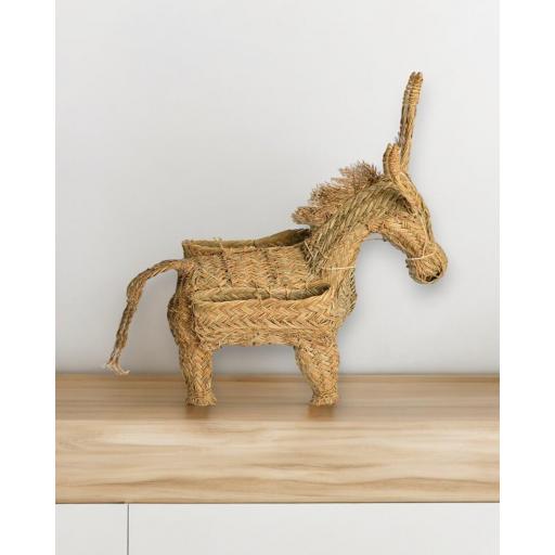 burro macetero esparto [1]