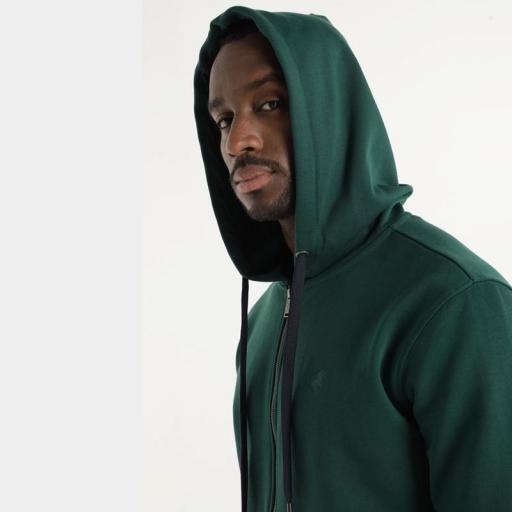 Lois Jeans Sudadera Filipodera Japonisa Verde 143318 [2]