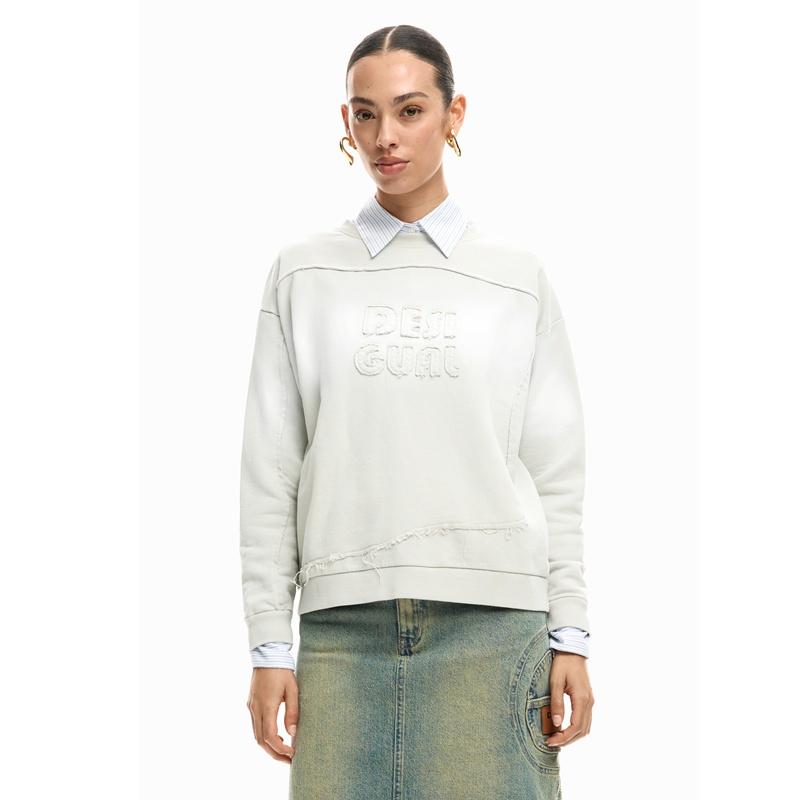 Desigual Sudadera Logo Degradado Anakin 26SWSK211001