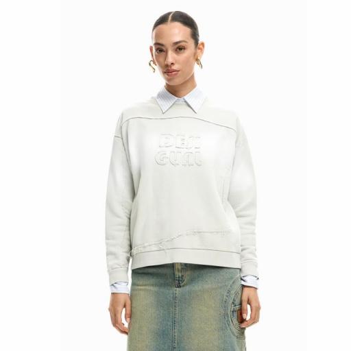Desigual Sudadera Logo Degradado Anakin 26SWSK211001