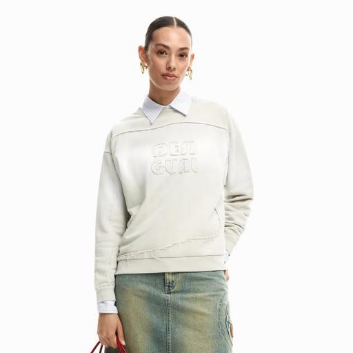 Desigual Sudadera Logo Degradado Anakin 26SWSK211001 [1]