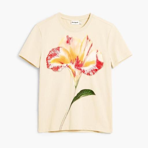 Desigual Camiseta Estocolmo Beige 26SWTK031001 [4]