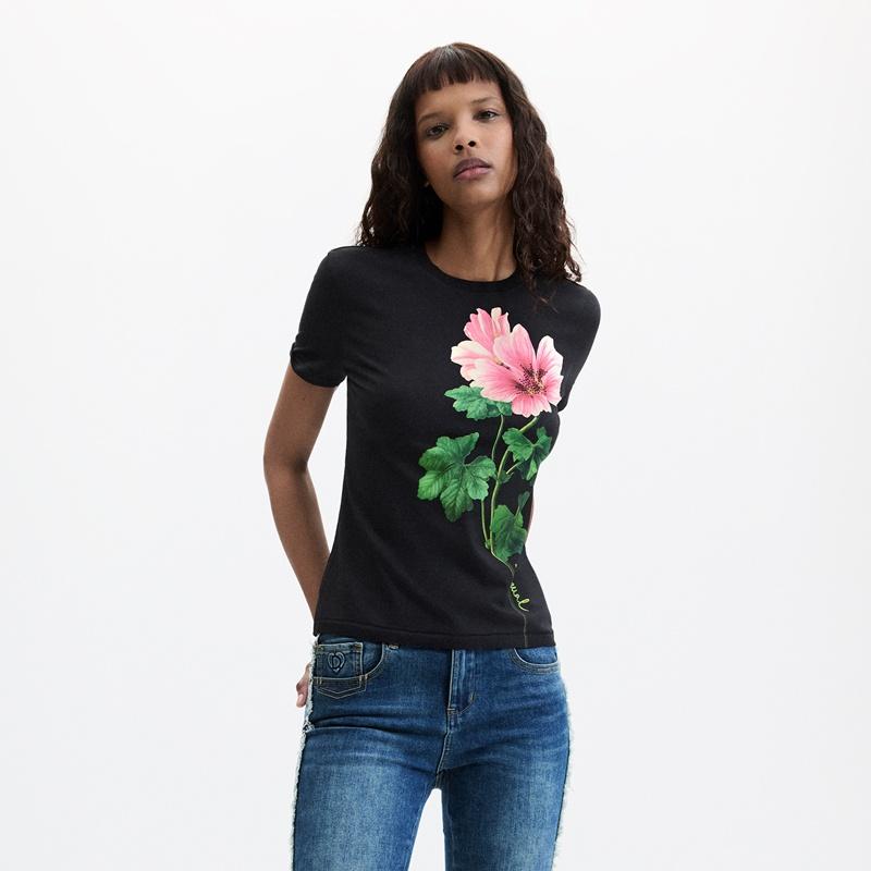 CDesigual Camiseta Sapporo 26WWTK502000