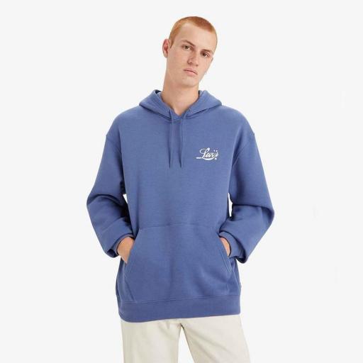 Levi's® Relaxed Graphic Hoodie One With Nature Palm 384790296