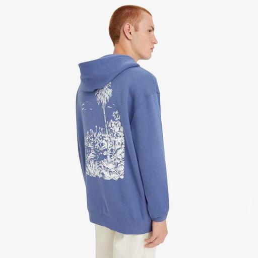 Levi's® Relaxed Graphic Hoodie One With Nature Palm 384790296 [1]