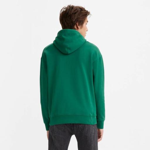 Levi's® Relaxed Graphic Hoodie Evergreen 384790156 Sudadera hombre [1]