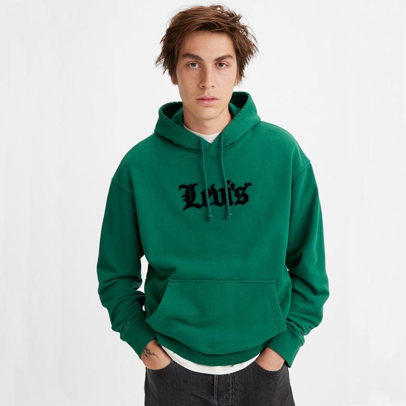 Levi's® Relaxed Graphic Hoodie Evergreen 384790156 Sudadera hombre