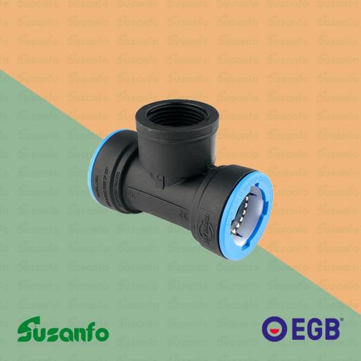 Te Rosca Hembra polietileno PUSH FIT - EGB Irriplast