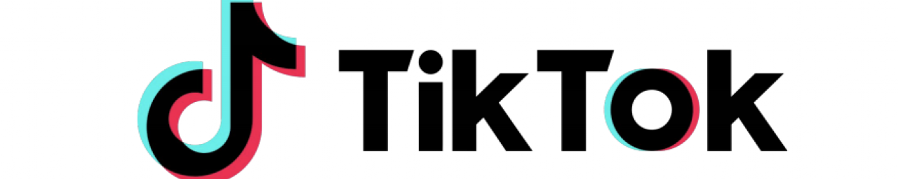 ENLACE A TIKTOK