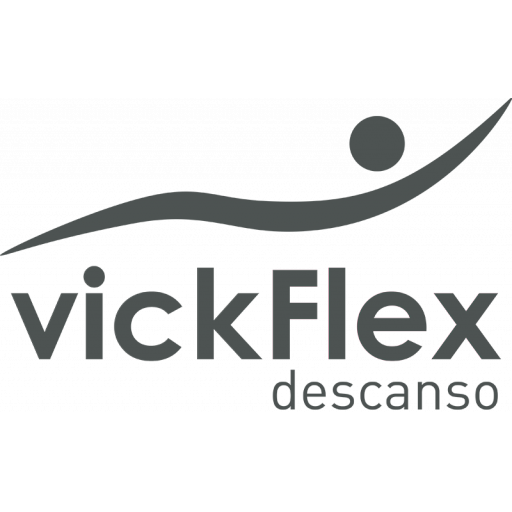 Logo de Vickflex