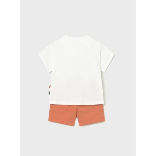 Conjunto camaleón Mayoral ref.1668 [1]