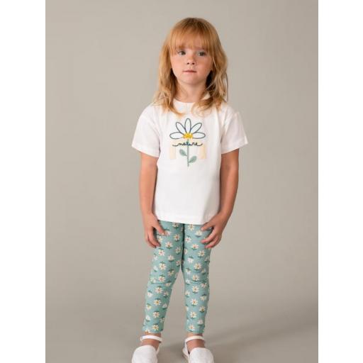 Conjunto flores Lago Mayoral ref.3727 [1]