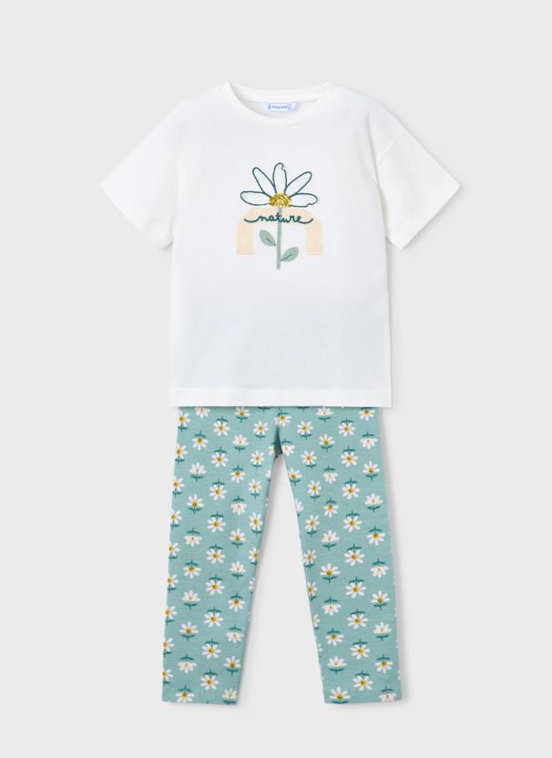 Conjunto flores Lago Mayoral ref.3727