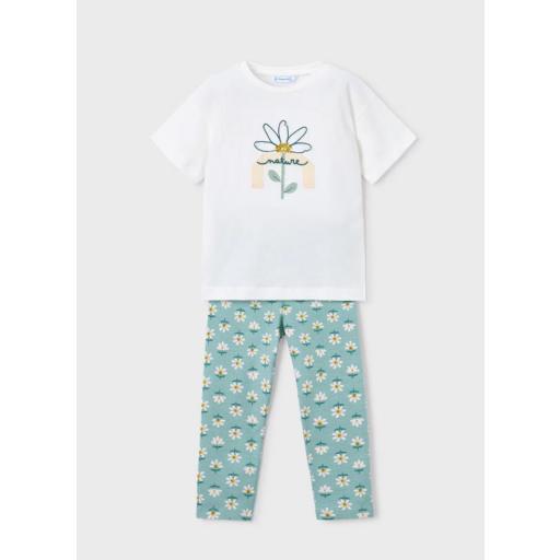 Conjunto flores Lago Mayoral ref.3727 [0]