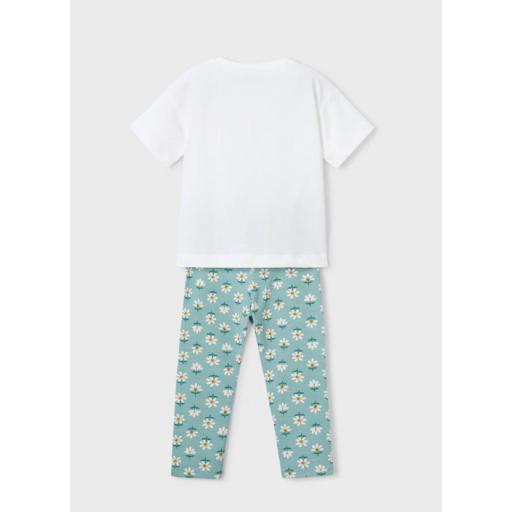 Conjunto flores Lago Mayoral ref.3727 [2]