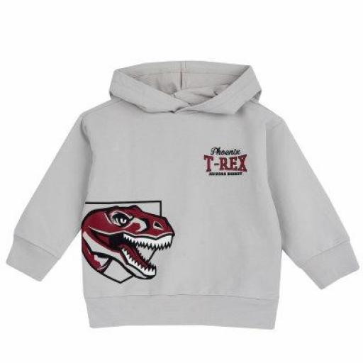 Sudadera Dinosaurio Chicco ref.100180