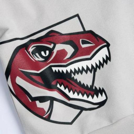 Sudadera Dinosaurio Chicco ref.100180 [1]