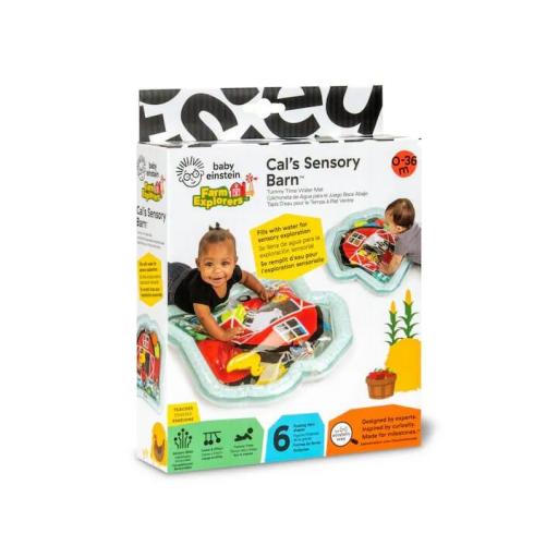Alfombra actividades agua Baby Einstein Cal´s sensory Barn +0m [2]