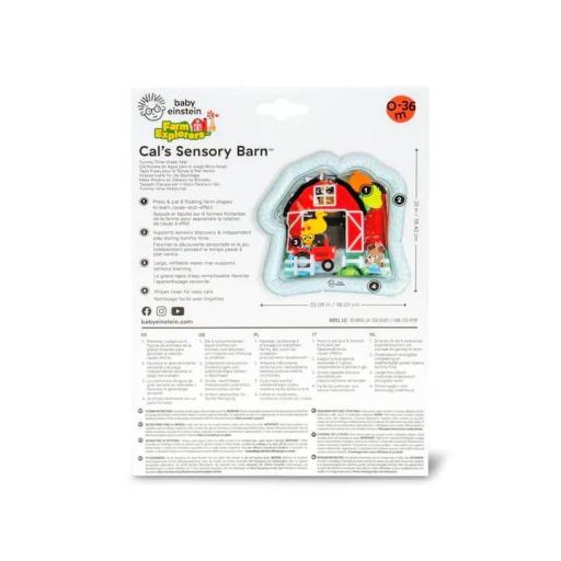 Alfombra actividades agua Baby Einstein Cal´s sensory Barn +0m [1]