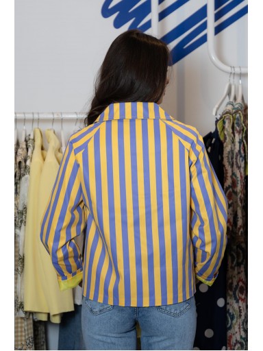 Blazer Impermeable Sésamo Amarillo y Morado [3]