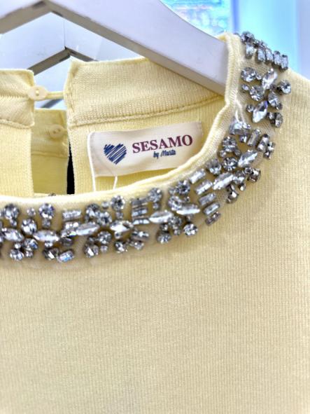 Top collar strass [3]