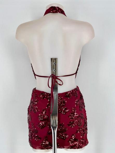 Mini Vestido Natalie Pailletes [4]