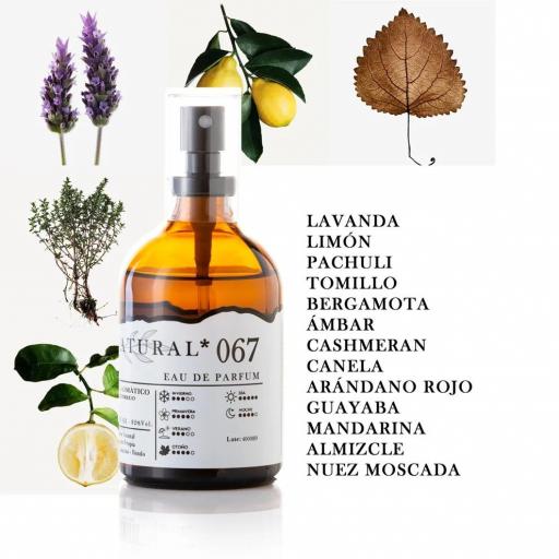 PERFUME HOMBRE Nº 067 100ML - JARDÍN NATURAL [1]