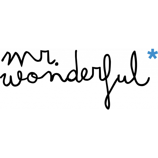 Logo de MR. WONDERFUL