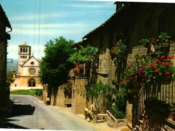 Assisi - Basilica di S. Francesco - Chiesa Superiore - Riproduzione Vietata