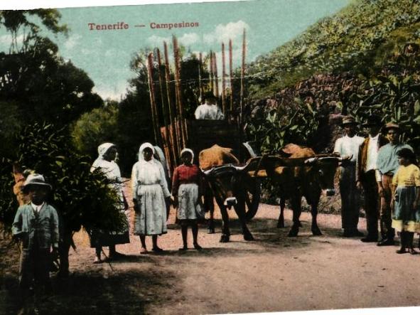 TENERIFE CANARIAS CAMPESINOS POSTAL ANTIGUA