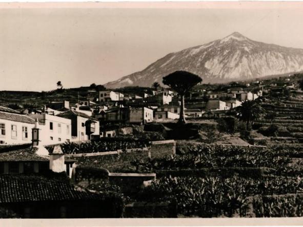 TENERIFE. AÑOS 30 50. PAISAJE CANARIO TEIDE AL FONDO. FOTO BAENA [0]