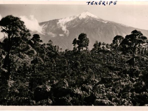 TENERIFE PAISAJE CANARIO TEIDE. FOTO BAENA