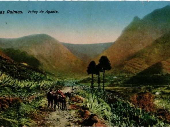 PRECIOSA POSTAL - LAS PALMAS (GRAN CANARIA) - VALLEY DE AGAETE