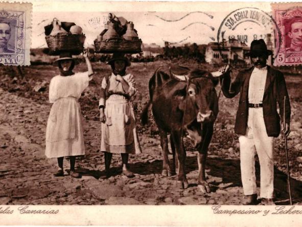 TARJETA POSTAL DE ISLAS CANARIAS. CAMPESINO Y LECHERAS [0]