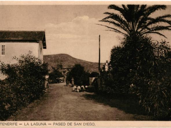 TENERIFE - LA LAGUNA - PASEO DE SAN DIEGO